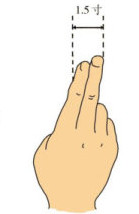 手指同身寸法（取穴比量方法示范图）