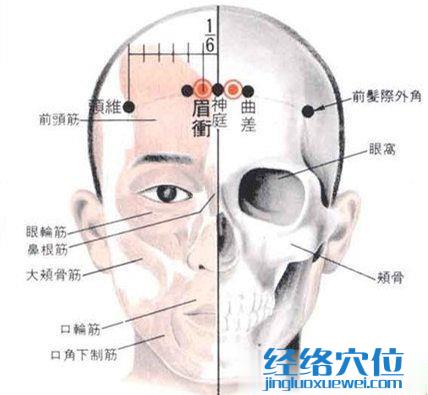 眉冲穴