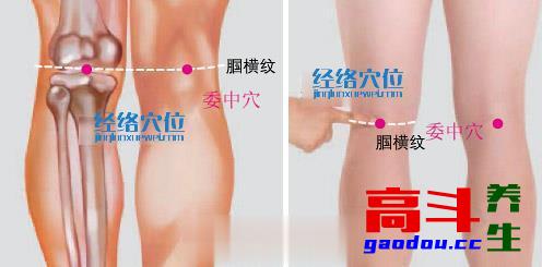 处暑：阴阳调和，慎防“秋老虎”