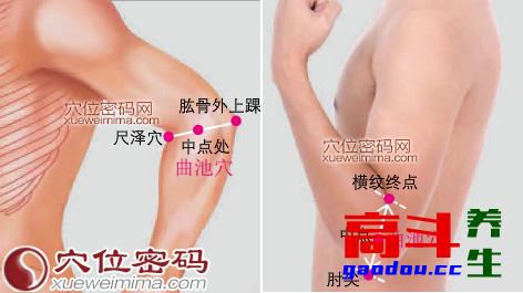 体质不同，施灸有别——痰湿体质艾灸方法