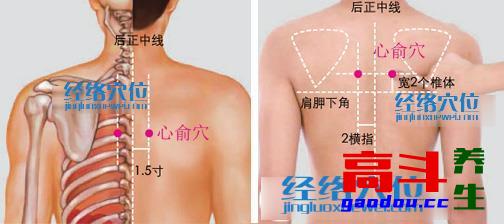 体质不同，施灸有别——气虚体质艾灸法