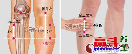 体质不同，施灸有别——痰湿体质艾灸方法