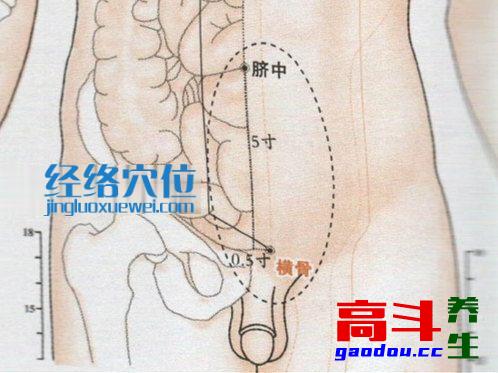 横骨穴