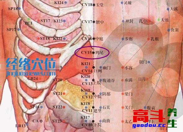 鸠尾穴