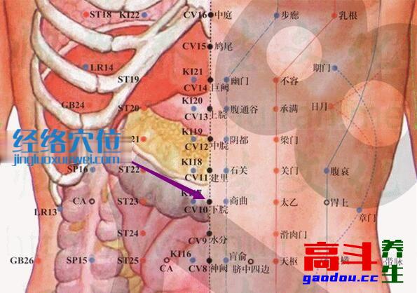 下脘穴_任脉_高斗养生网_经络穴位_针灸_艾灸_刮痧_推拿按摩