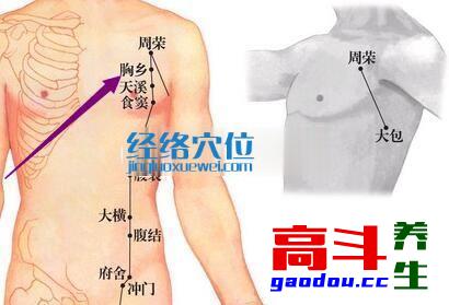 胸乡穴_足太阴脾经_高斗养生网_经络穴位_针灸_艾灸_刮痧_推拿按摩